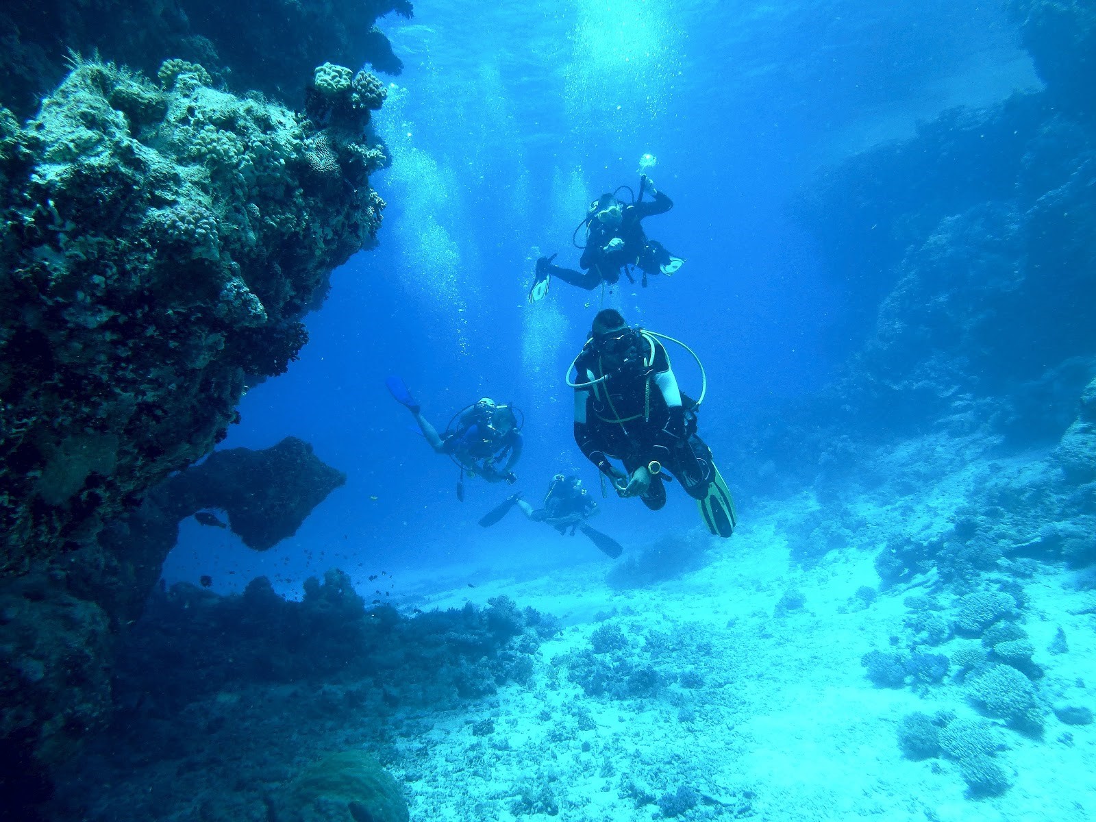 Scuba Divers in blue Coral Bay waters