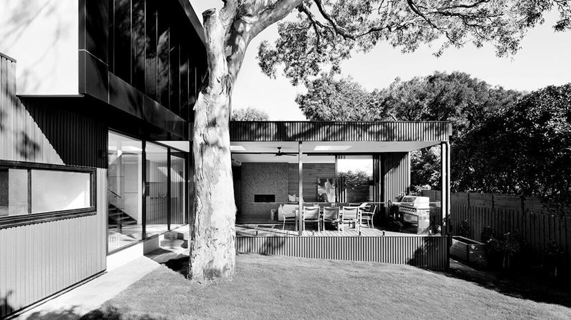 Backyard with grass and outdoor setting.